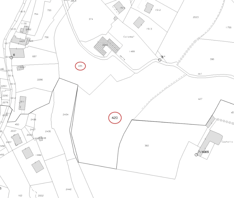 immagine annuncio 10 di 13