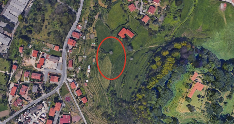 immagine annuncio 12 di 13