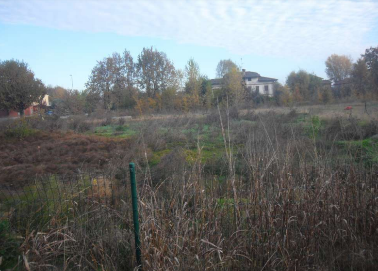 immagine annuncio 3 di 13