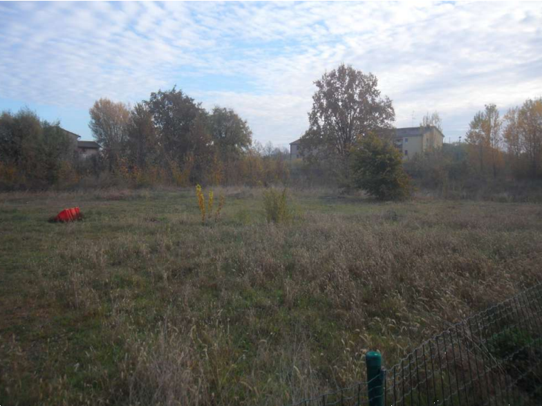 immagine annuncio 6 di 13