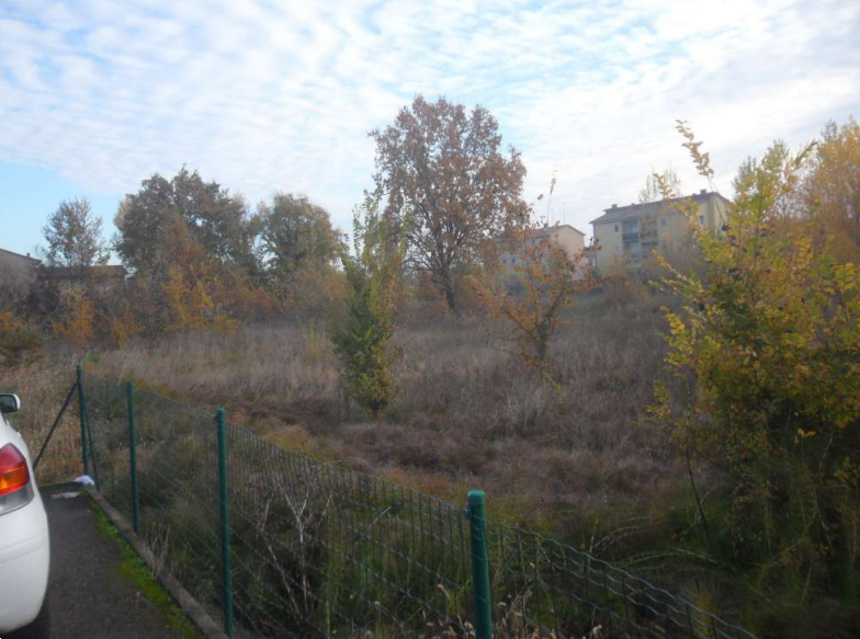 immagine annuncio 8 di 13