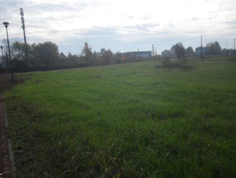 immagine annuncio 10 di 13