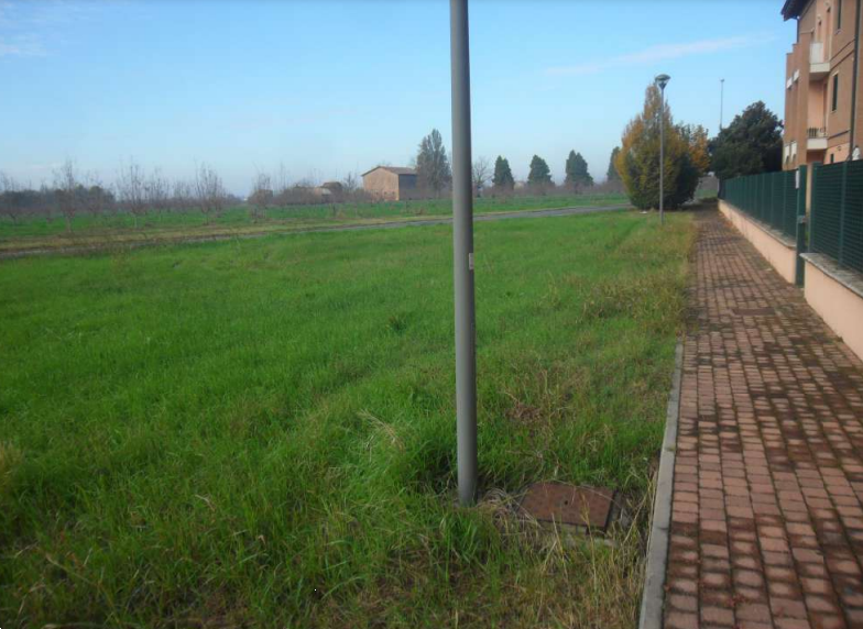 immagine annuncio 11 di 13