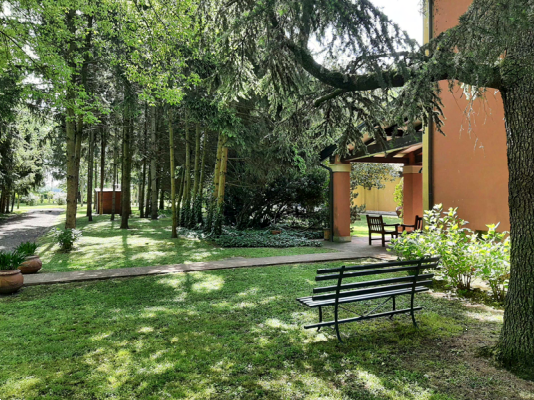 immagine annuncio 1 di 13