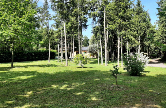 immagine annuncio 2 di 13