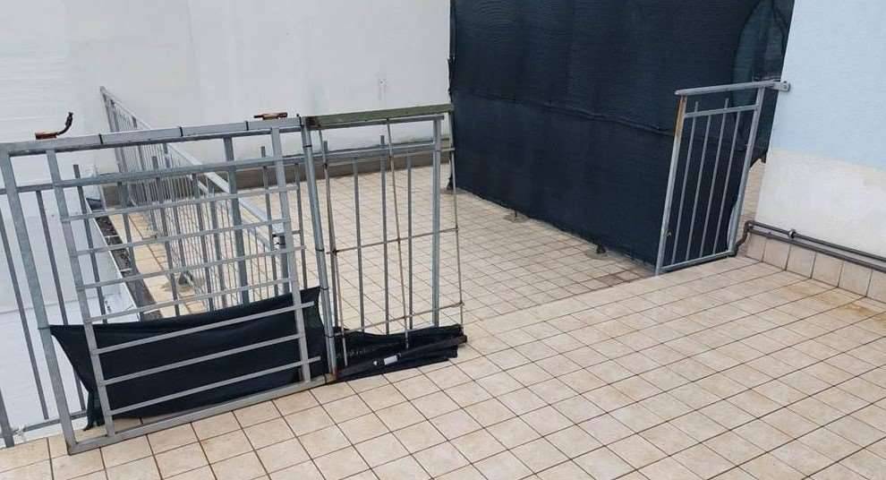 immagine annuncio 6 di 11