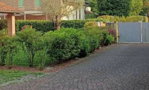 immagine annuncio 5 di 13