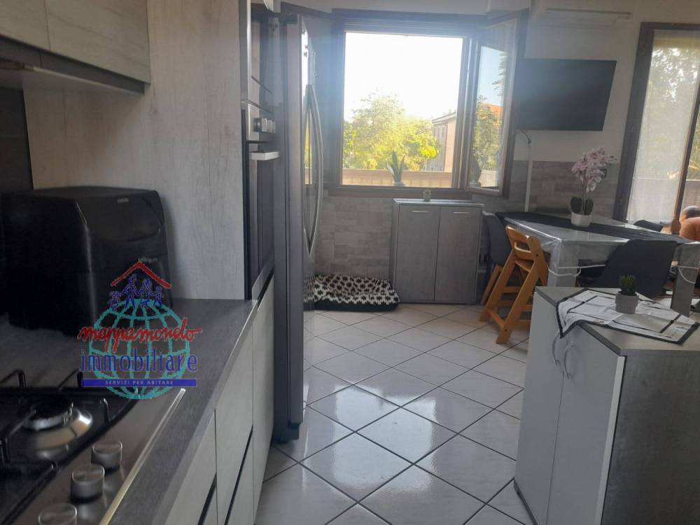 immagine annuncio 3 di 13