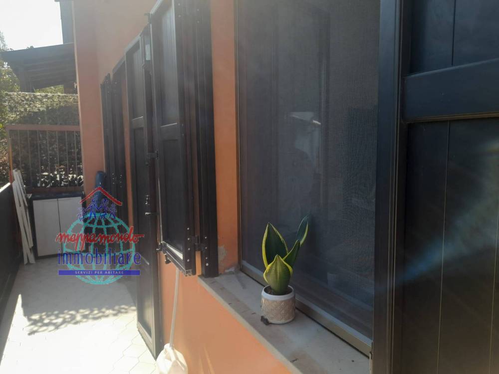 immagine annuncio 6 di 13