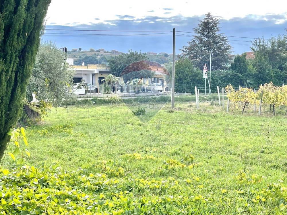 immagine annuncio 4 di 9