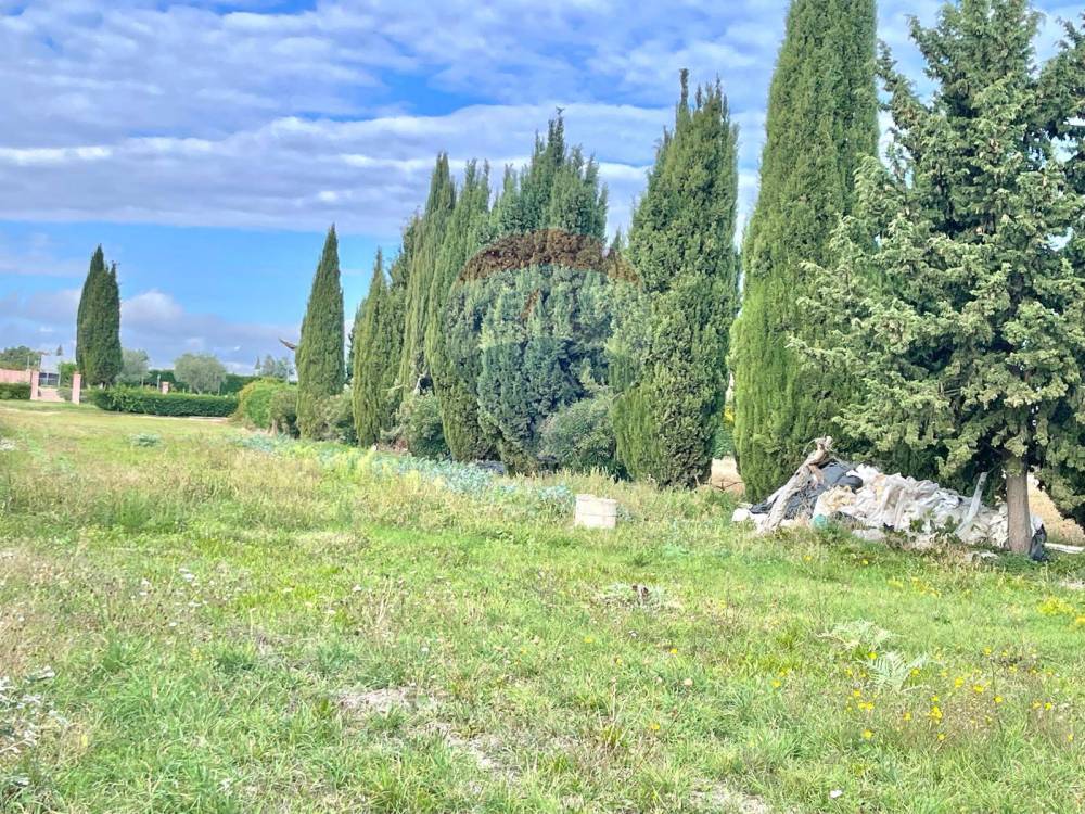 immagine annuncio 6 di 9