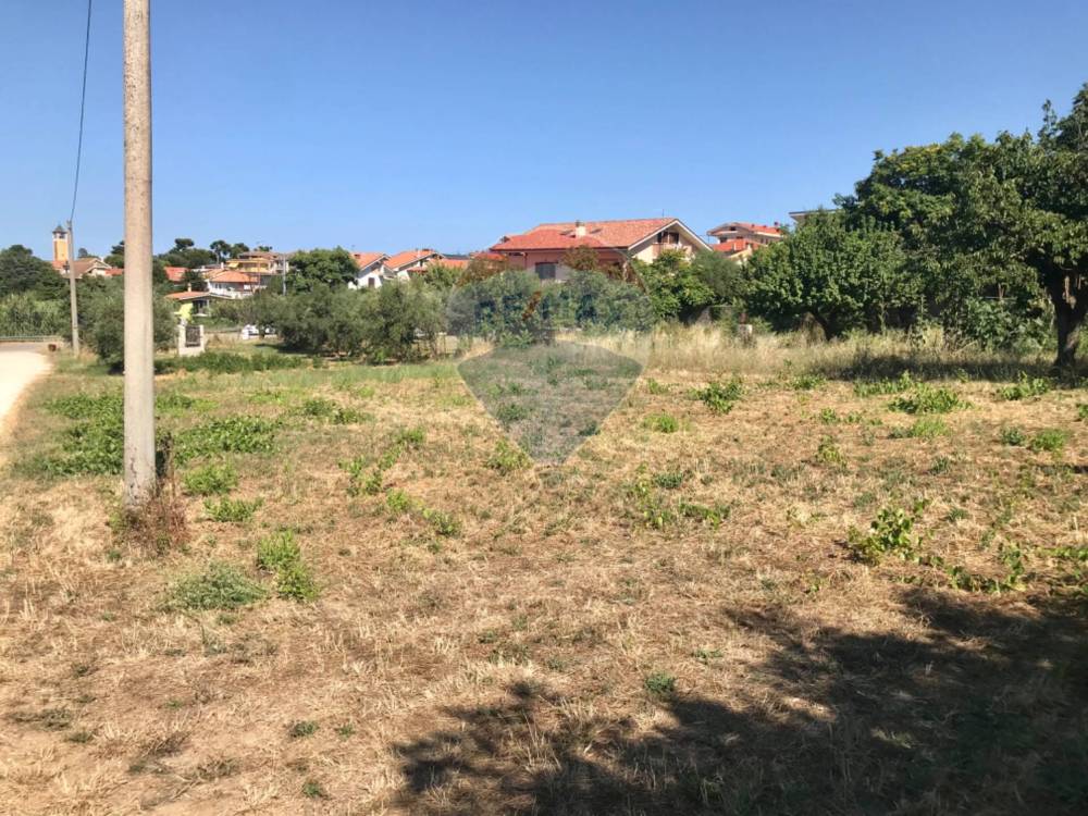 immagine annuncio 6 di 13