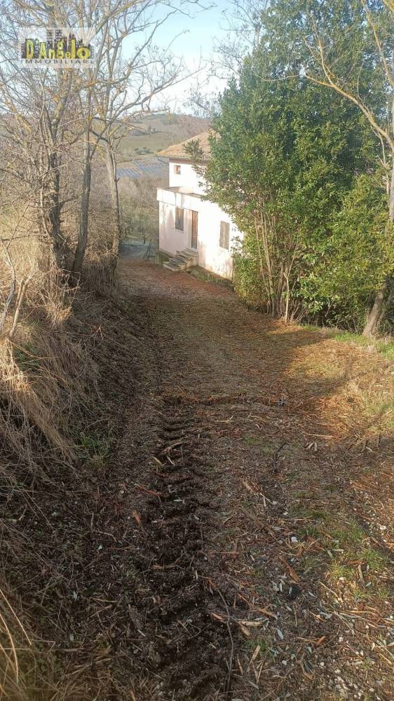 immagine annuncio 11 di 13