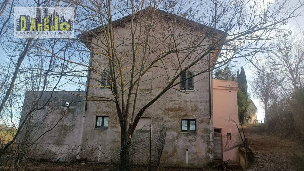 immagine annuncio 12 di 13