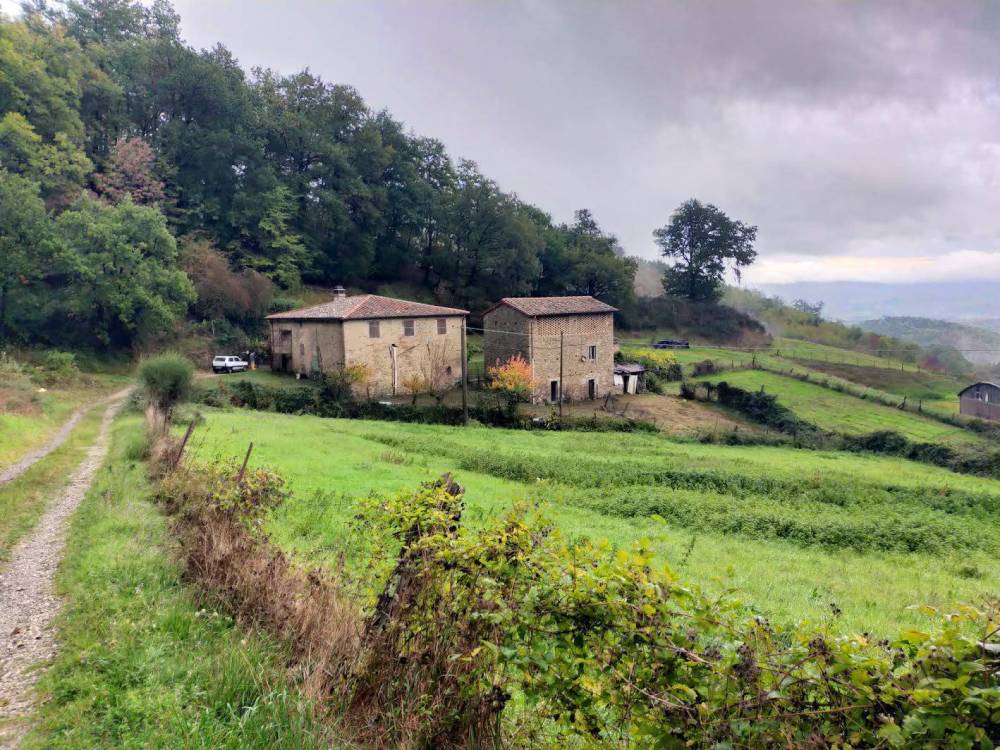 immagine annuncio 0 di 13