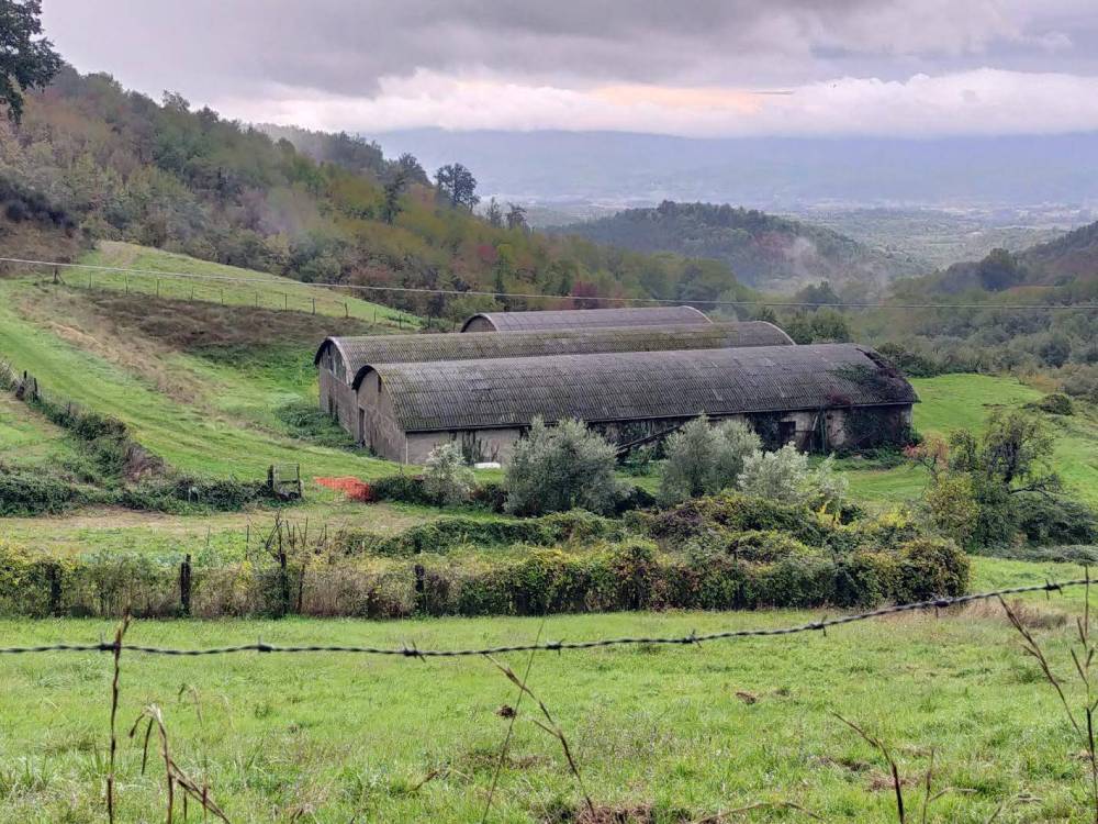 immagine annuncio 12 di 13