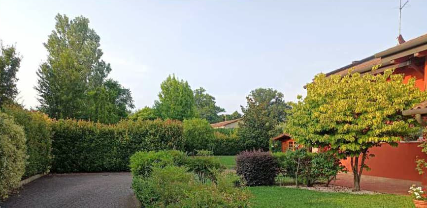 immagine annuncio 7 di 11