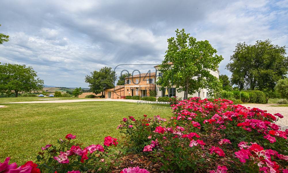 immagine annuncio 4 di 13