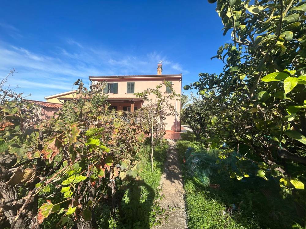 immagine annuncio 11 di 13