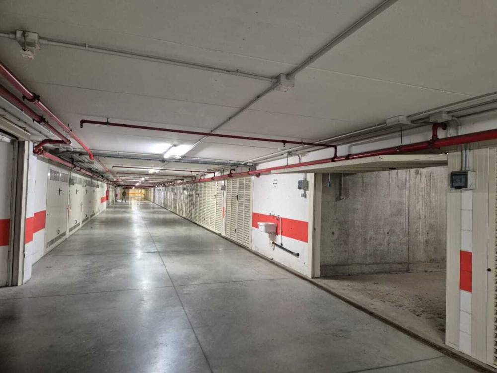 immagine annuncio 3 di 6