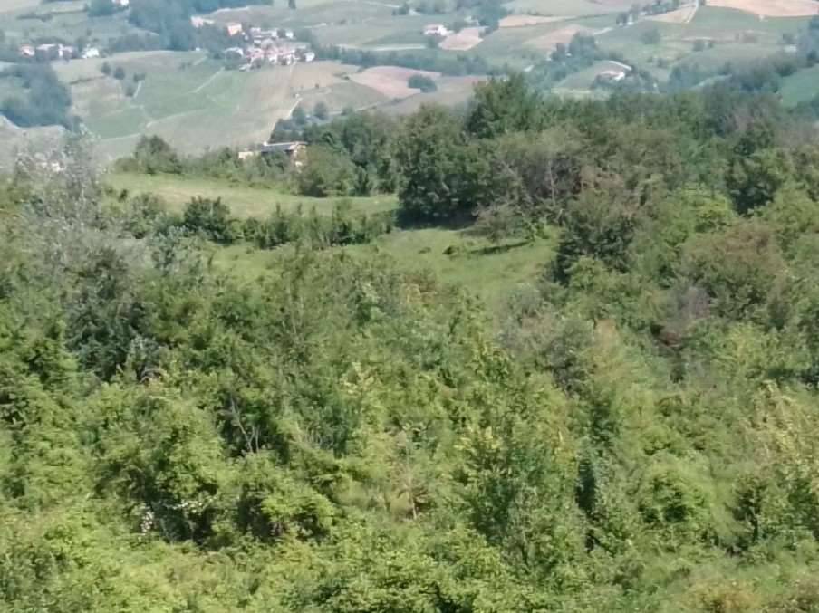 immagine annuncio 6 di 13