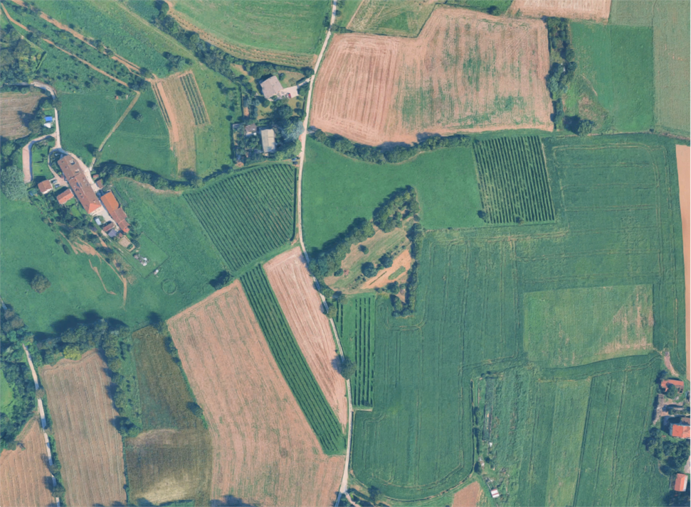 immagine annuncio 6 di 13