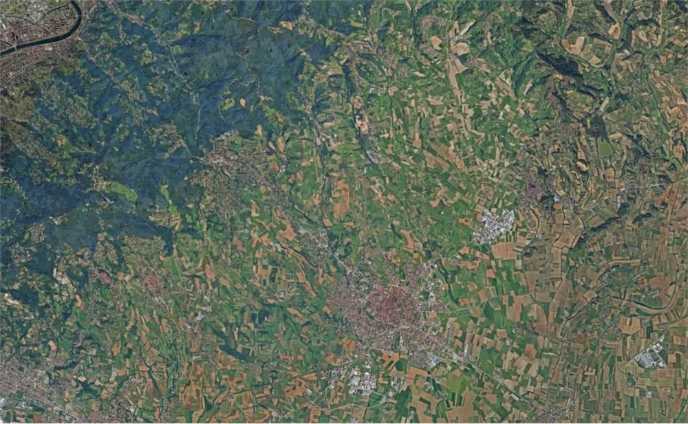 immagine annuncio 3 di 13