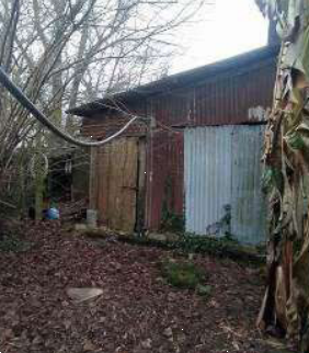 immagine annuncio 12 di 13