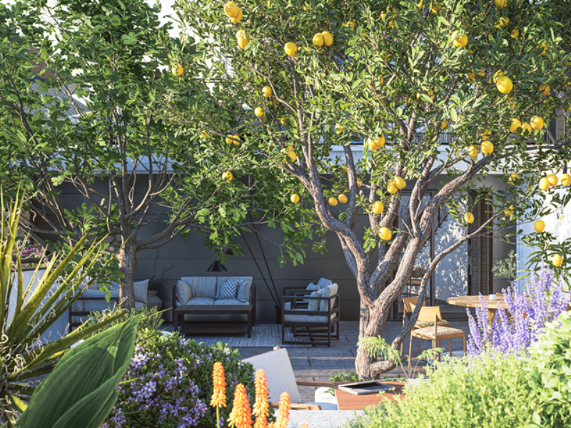 immagine annuncio 5 di 13