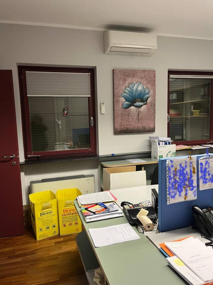 immagine annuncio 3 di 12