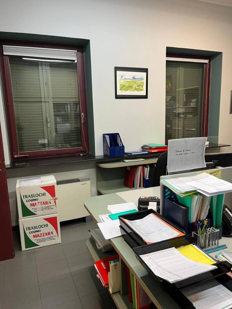 immagine annuncio 6 di 12