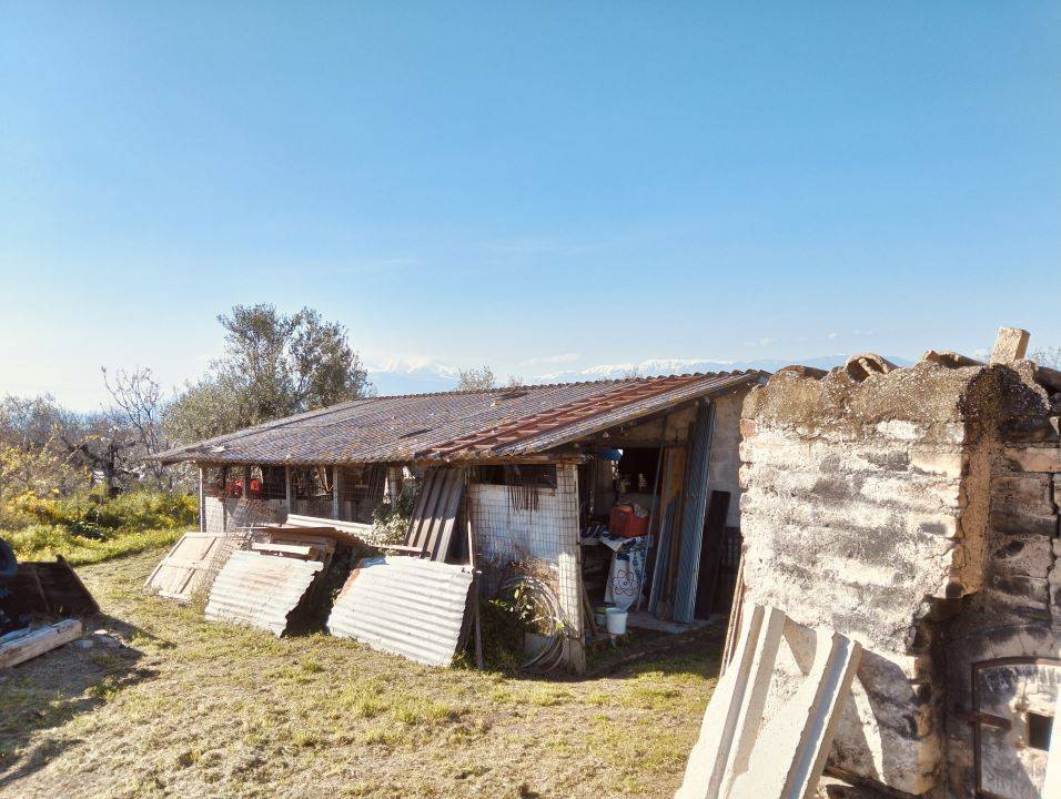 immagine annuncio 4 di 9