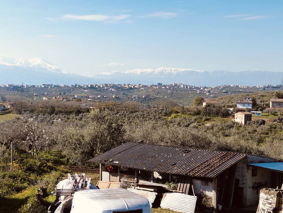 immagine annuncio 5 di 9