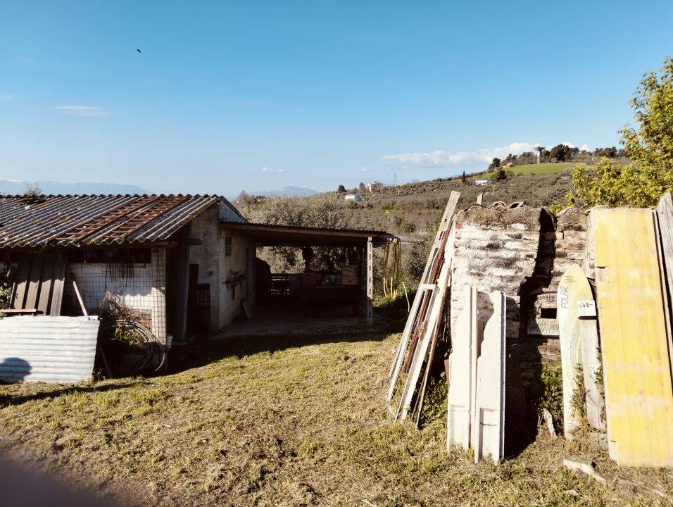 immagine annuncio 2 di 9