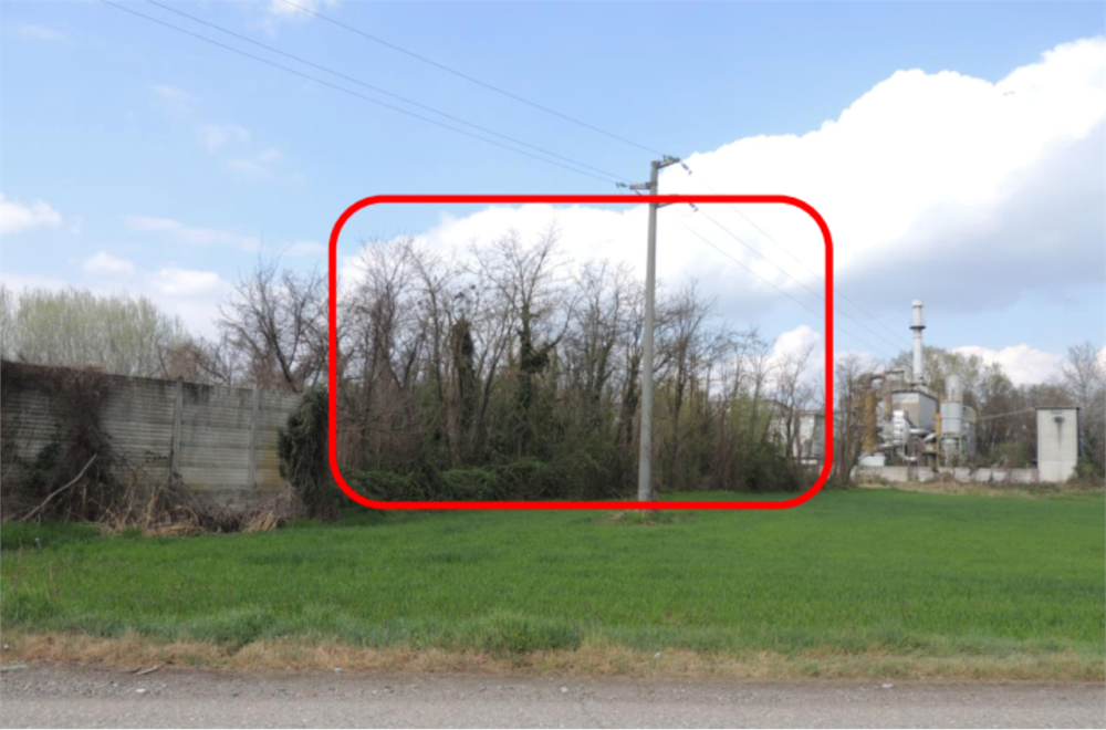 immagine annuncio 2 di 13