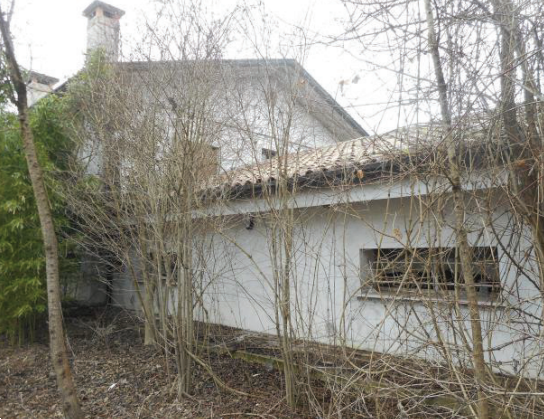 immagine annuncio 3 di 13