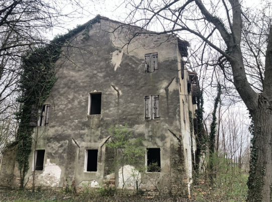 immagine annuncio 1 di 13