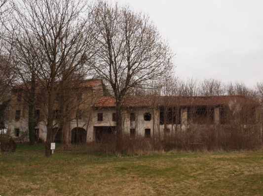 immagine annuncio 3 di 13