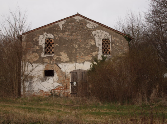 immagine annuncio 4 di 13