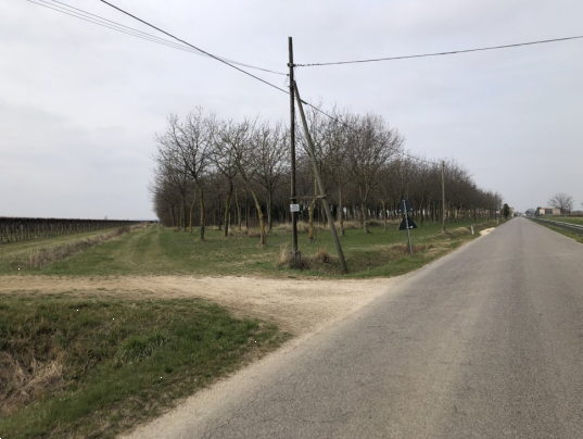 immagine annuncio 6 di 13