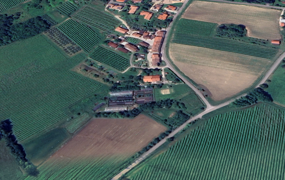 immagine annuncio 12 di 13