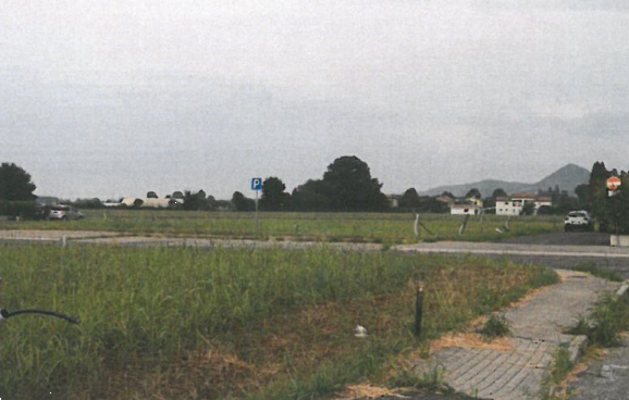 immagine annuncio 3 di 13