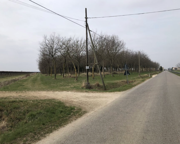 immagine annuncio 2 di 13