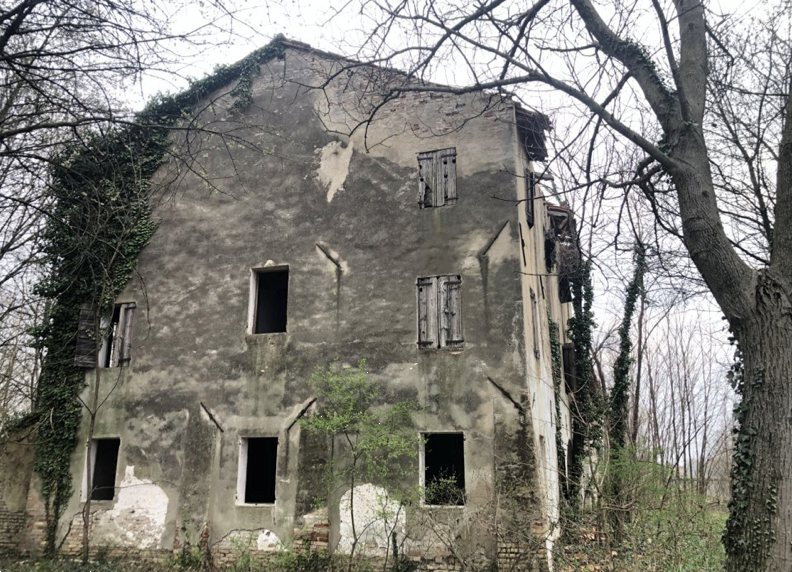 immagine annuncio 4 di 13