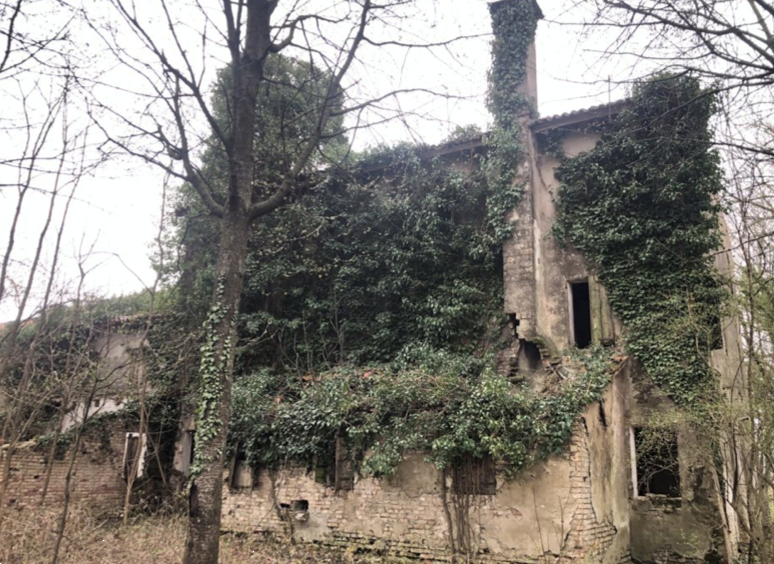 immagine annuncio 5 di 13