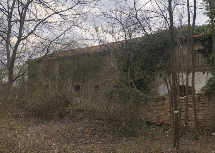 immagine annuncio 6 di 13