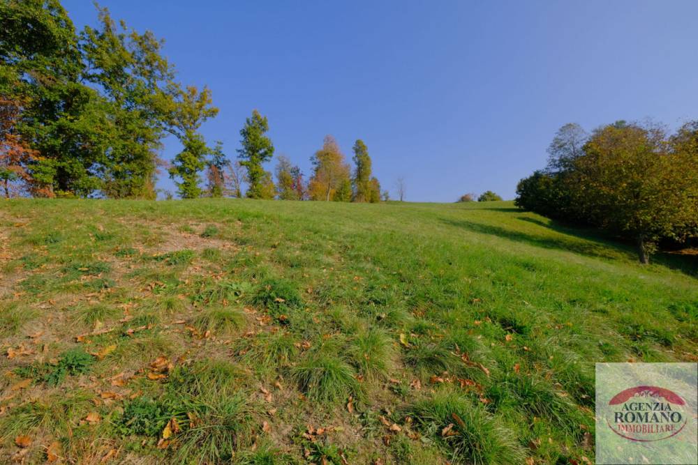 immagine annuncio 11 di 13