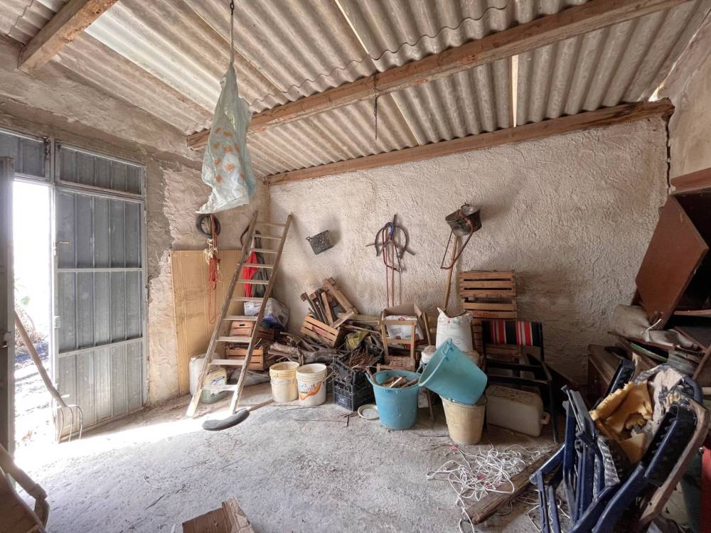 immagine annuncio 12 di 13