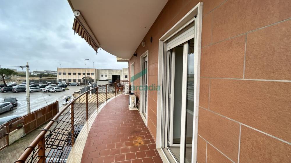 immagine annuncio 9 di 13