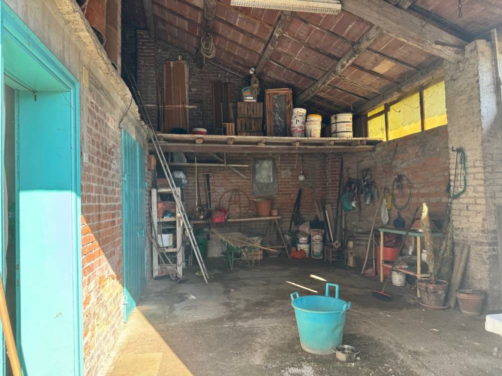 immagine annuncio 2 di 12